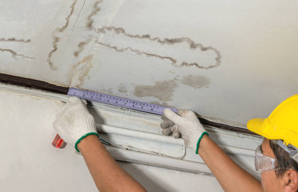 Reliable Water Damage Repair contractor in Mississippi, MS by Hirex Water Damage